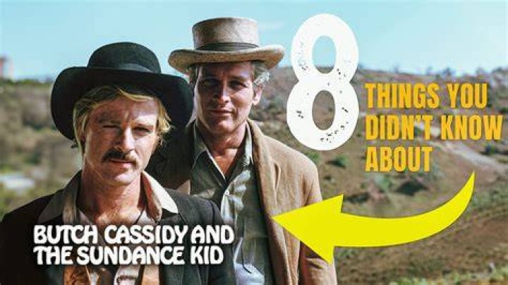 8 Things You Didn't Know About Cassidy Freeman Super Stars Bio