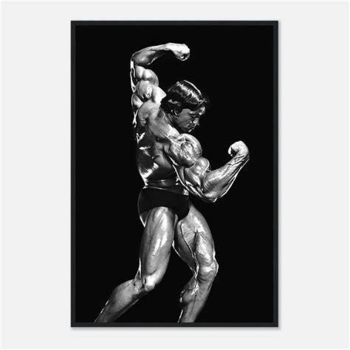 Arnold Schwarzenegger Bodybuilding Photo Poster Wall Print Arnie Mr