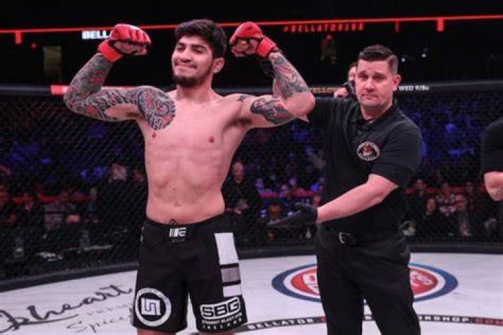 Dillon Danis receives sevenmonth suspension for role in UFC 229 brawl