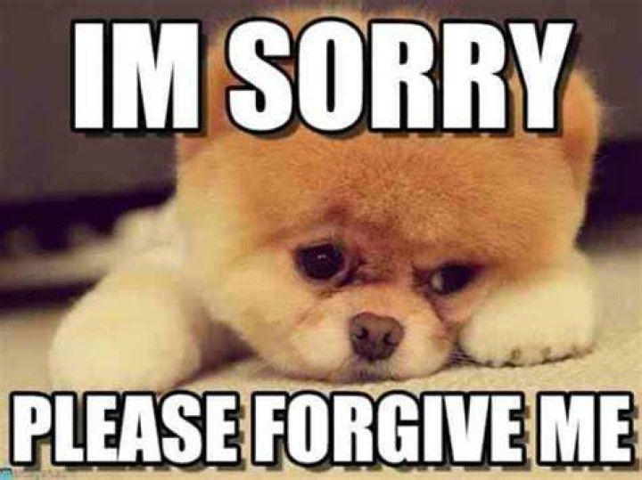 Explore The World Of "I'm Sorry" Memes