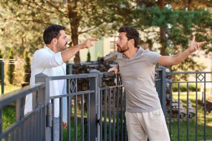Exploring The Enigma Of Bad Neighbors