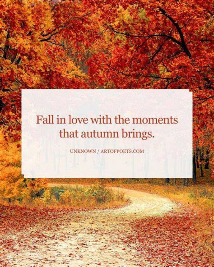 fall quotes