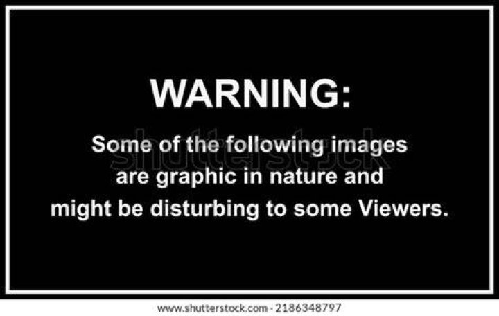 Graphic and disturbing nature of video sparks discussions about cartels in Mexican society Graphic and disturbing nature of video sparks discussions about cartels in Mexican society