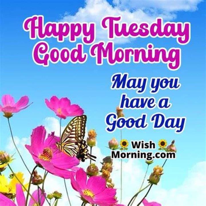 Happy Tuesday, Good Morning Quotes, Tableware, Oscar, Amor, Cute Good