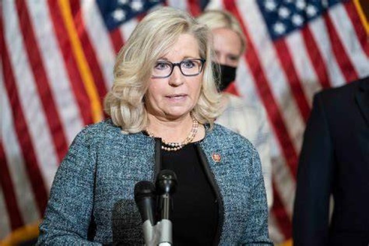 Is Liz Cheney Gay? Stance on SameSex Marriage Sparks Speculations