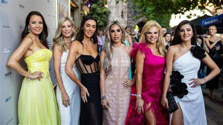 Reality stars: Real Housewives of Orange County wrapped up its ninth season in August. Pictured (L-R) Shannon Beador, Heather Dubrow, Vicki Gunvalson, Tamra Judge and Elizabeth Rovsek
