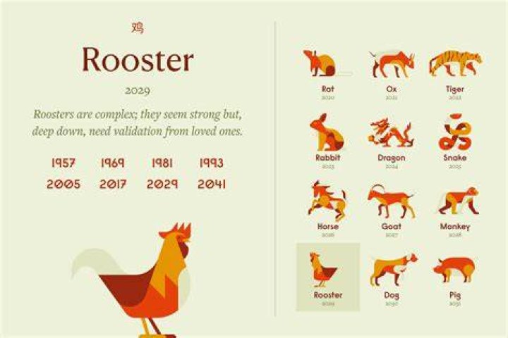 Snake and Rooster Chinese Zodiac Compatibility Horoscope, Year of Snake