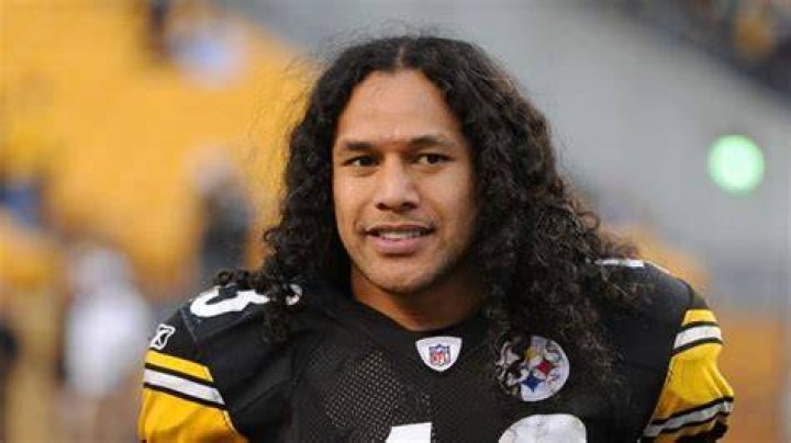 Troy Polamalu Wiki, Height, Weight, Age, Girlfriend, Family, Biography