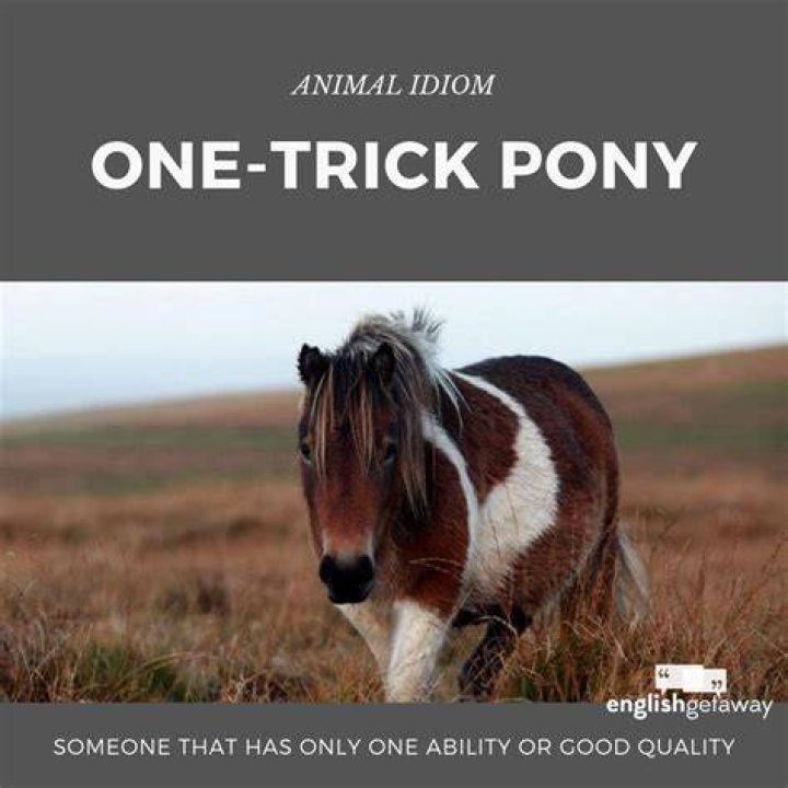 Unlock The Hidden Depths Of "One Horse Pony" Meaning: Uncover Surprising Insights