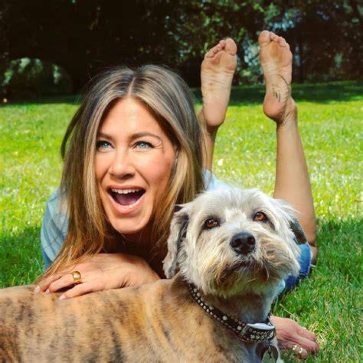Unveiling The Enigmatic Appeal Of "Best Celeb Soles"