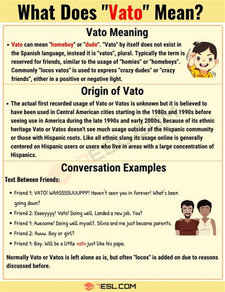What does vato mean in Spanish Spanish to Go