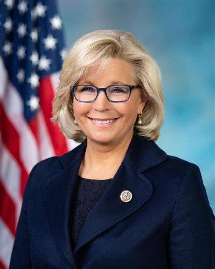 Who is Liz Cheney's husband Philip Perry? The US Sun