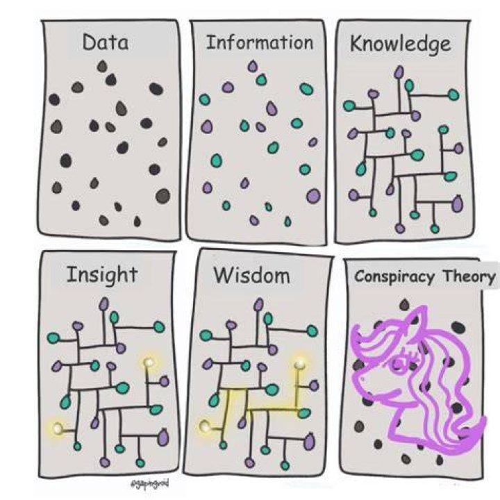Wisdom and Insight