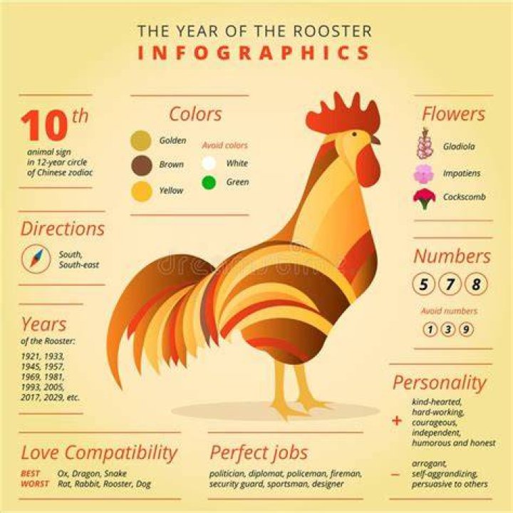 Year of the Rooster Personality Traits, Horoscope Predictions 2024