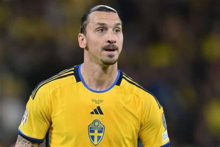 Zlatan Ibrahimovic's WAG Helena Seger Daily Star